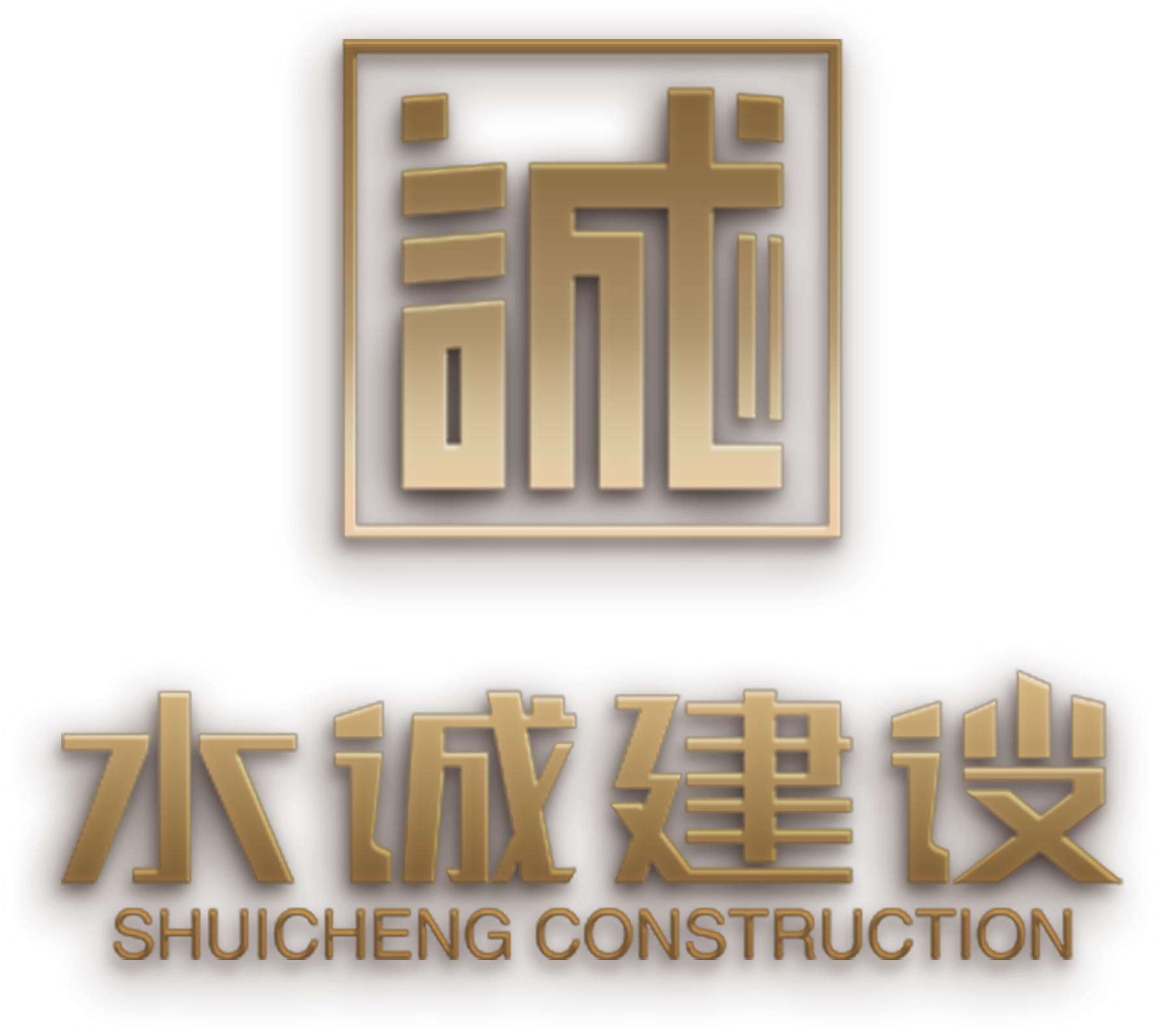 河南水诚建设工程有限公司 封面